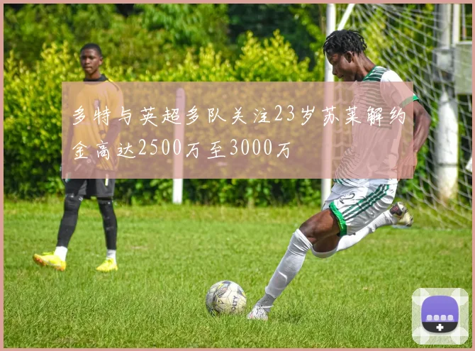 多特与英超多队关注23岁苏莱解约金高达2500万至3000万
