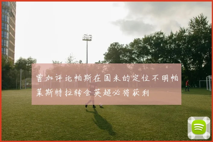 曾加评论帕斯在国米的定位不明帕莱斯特拉转会英超必将获利